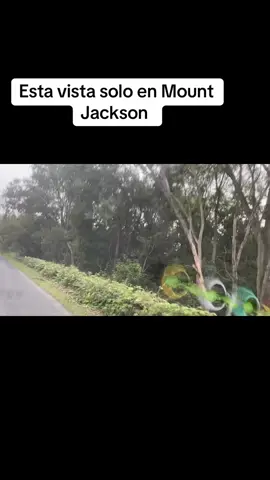 #LIVEIncentiveProgram #MakefriendsLIVE #PaidPartnership 