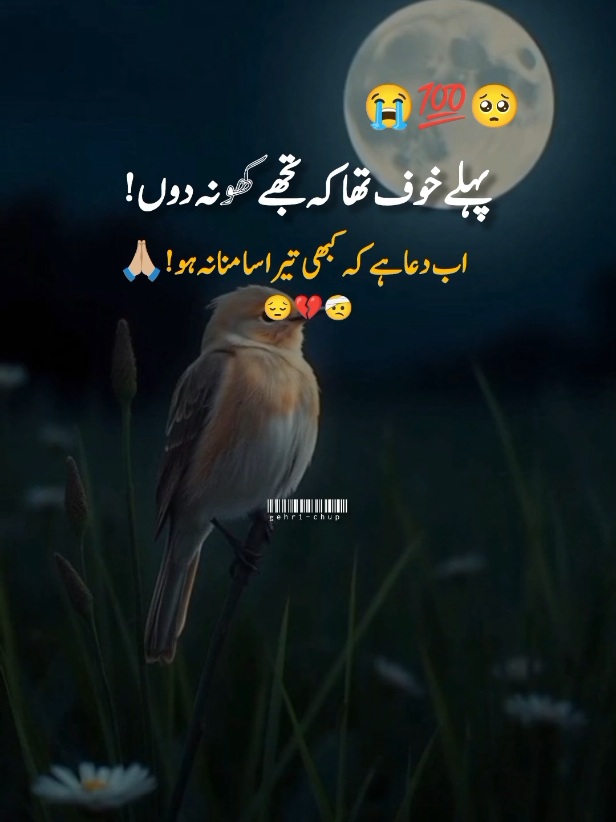 #viewproblem💔🥺🙏🙏 #urdupoetry #deeplines #saidpoetry💔😭💔 #gehrii_chupp8 
