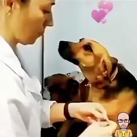 😁😁😁