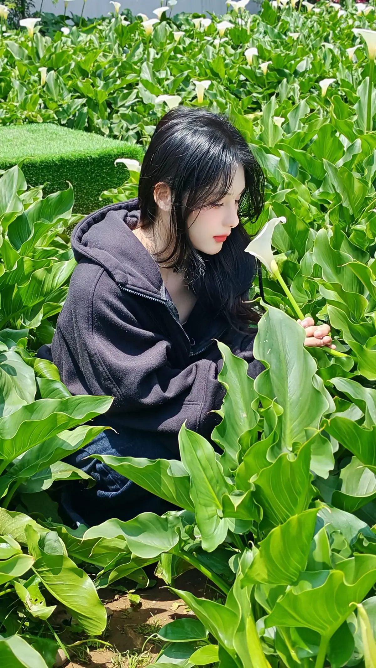 Hoa nào đẹp hơn? #xuhuong #sapa #outfit #fyp #viral 