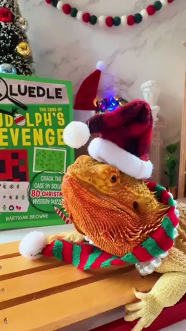 🕵️‍♀️✨ Detective Betty is back on the case, and this time she’s sleigh-riding straight into holiday mystery! ❄️ The fourth Cluedle installment, The Case of Rudolph’s Revenge, brings festive fun, puzzling clues, and plenty of holiday cheer. From frosty trails to twinkling lights, Betty won’t stop until the mystery is solved. Perfect for curious kids who love adventure, problem-solving, and a touch of holiday magic. 🎄🔍 @Workman Publishing  📚 Add CLUEDLE: The Case of Rudolph’s Revenge to your holiday reading list today!  #workmanpubkids #mystery #holidaymagic  