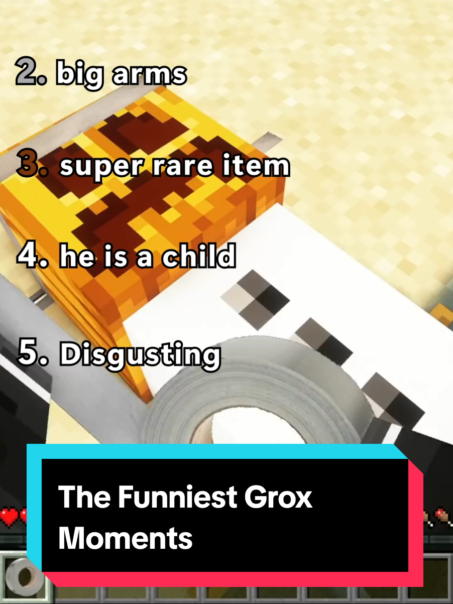 Ranking The Top 3 Funniest Grox 1,000,000 Villager Manhunt Moments #ranking #Minecraft #meme #groxmc #grox #funny 