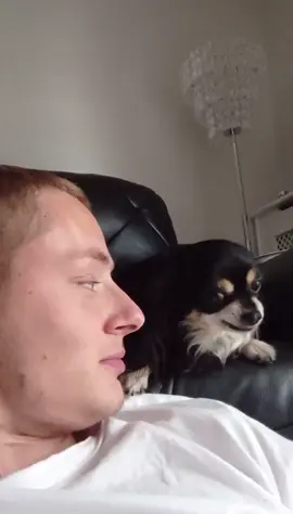 😝😜🤪 #dog #dogsofttiktok #doggo #funny #fyp 