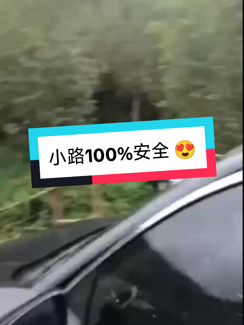 #柬埔寨🇰🇭 