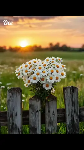 ငါ့အချစ်တွေကျတော်မင်းမမြင်ဘူး #crdစာသား  #Dee  #Love #Pain #flypシ 