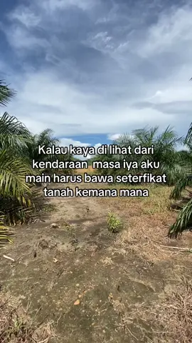 Izin copy kata”🙏🏻#sawitbangka #sawitstory🌴🌴🌴 #sawitsumatra #sawitstorywa #sawitbangkabelitung 