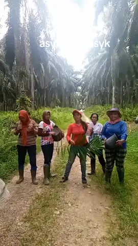 #duet dengan @pejuang rupiah 