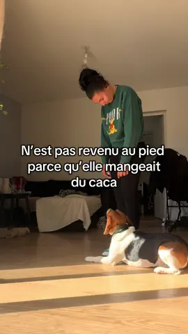 Je ferais des vidéos sur Tea et sa passion pour le caca 