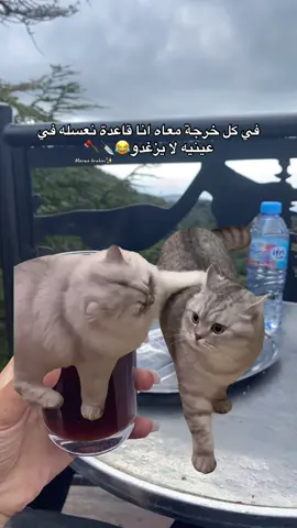 #Meme #MemeCut #😂😂😂