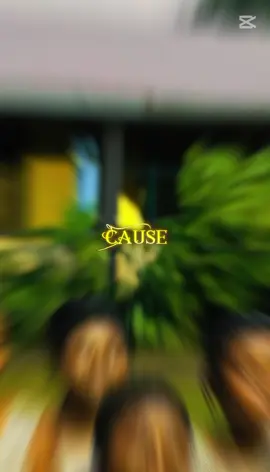 #CapCut 