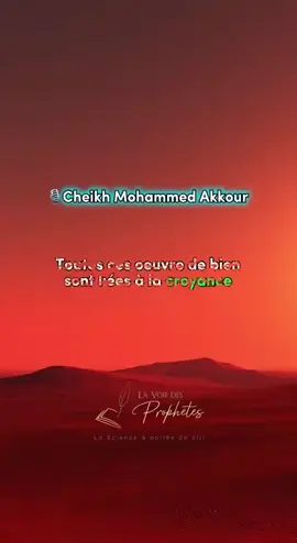 Parmis les péchés, certains annulent les œuvres pieuses - Cheikh Mohammed Akkour
