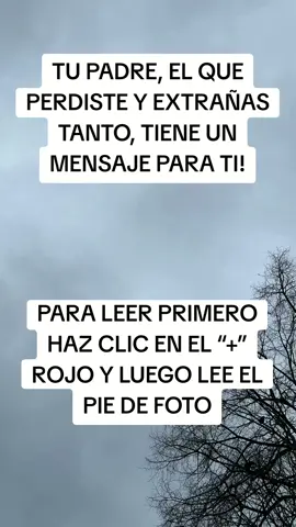 A veces sé que sientes que mi ausencia deja un vacío imposible de llenar, como si estuvieras navegando solo en un océano inmenso. Pero quiero que sepas algo importante: nunca he dejado de estar a tu lado. Estoy aquí, en cada respiro, compartiendo tus alegrías y aliviando tu dolor, incluso cuando no me percibes. Hoy, más que nunca, sentí la necesidad de hablar contigo. ¿Recuerdas esos momentos de complicidad que parecían detener el tiempo? Esos momentos aún viven en mí, llenos de amor y gratitud. Cuando una risa inesperada escapa de tus labios o un recuerdo cálido te envuelve, soy yo, recordándote que no estás solo. Mi paz ahora es plena, y lo único que deseo es que tú encuentres la tuya. He estado contigo en tus días más difíciles, en tus noches llenas de preguntas. Quiero que sepas que no hay nada de lo que debas culparte. Diste todo de ti, y lo que vivimos juntos fue más que suficiente. Nuestro vínculo sigue intacto, más allá de este mundo y del tiempo. Quiero que sigas soñando, que confíes en ti mismo como yo siempre confié. No dejes que el miedo te paralice. Estoy contigo, celebrando tus victorias y animándote en cada paso. Grandes cosas te esperan, y estaré allí en cada una de ellas, como siempre he estado. Aunque desees verme o escucharme una vez más, estoy en cada detalle que te da paz: un amanecer, una canción, una brisa. Cuando necesites calma, cierra los ojos. Estoy contigo, sosteniéndote. Nunca lo olvides: te amo.  Nuestro amor lo trasciende todo.  Vive con valentía, porque yo estoy a tu lado, siempre. #MensajeDelMásAllá #AmorEterno #ConexiónEspiritual #PalabrasDelCorazón #Duelo