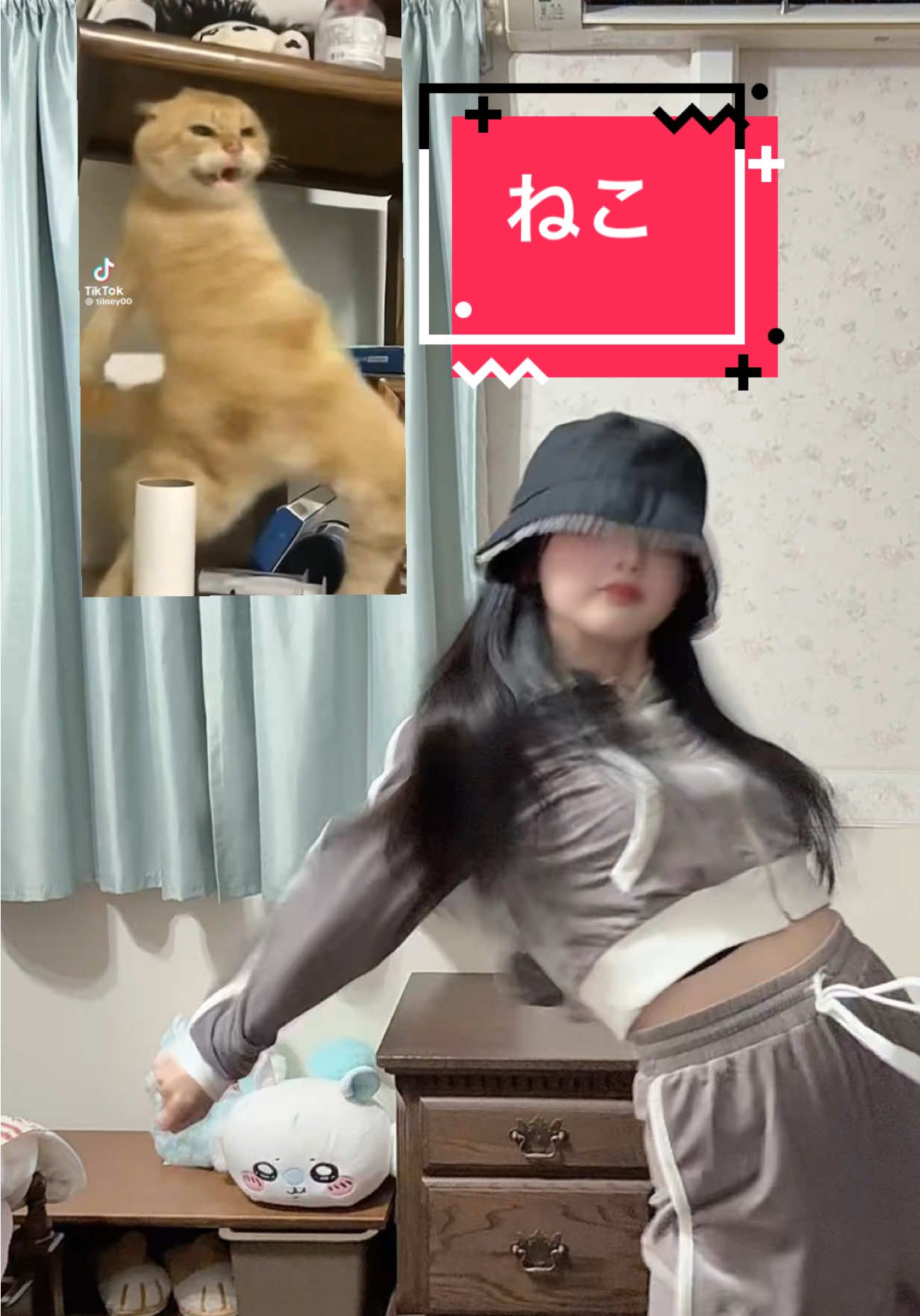 絶対またこれ踊る！！ #ダイエット　#痩せる　#猫　#生き物 #おどってみた 