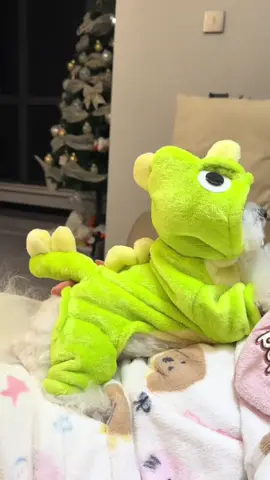 Quần áo khủng long cute cho bé yêu 🐶 #quanaochomeo #quanaothucung #quanaothucungcute #bunquystoc 