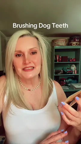 This **toothpaste** is trending for a reason! It's **enzymatic**, which means it doesn't foam. Your dog gets used to the **taste** really quickly, and you don't even need to brush their teeth. Simply apply it on their gums, and it helps fight **gingivitis** and **bad breath**. It's a lifesaver for dog parents! One pack has enough toothpaste to last you **90 days**. Grab yours now and see the difference! #dog #dogtoothbrush #dogteeth #tictokshop #fyp 