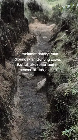 Wongso Menggolo seorang patih setia raja Brawijaya V yang konon dipercaya menjelma sebagai burung Jalak Lawu yang mengemban dalam menuntun pendaki agar tidak tersesat di gunung Lawu #pendakigunung  #gununglawu  #lawuviacetho  #bulakpeperangan  #mysticalmountain 