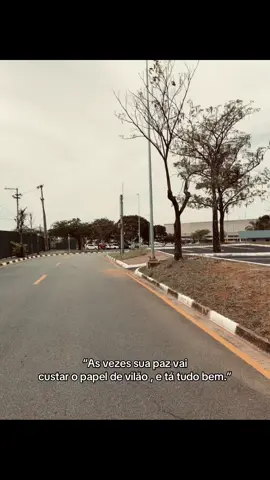 #vaiprofycaramba #vilao #sentimiento #realidade #paz 
