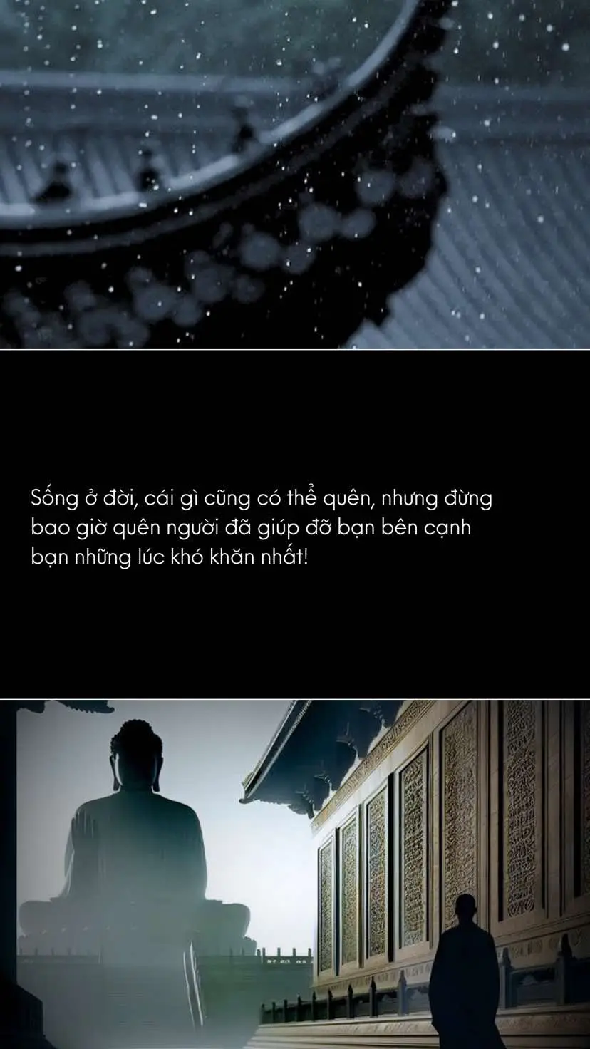 #manhan_22 #phatphapnhiemmau 