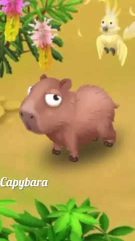 too late for a capybara edit?🥹 #hayday #haydaytiktok 