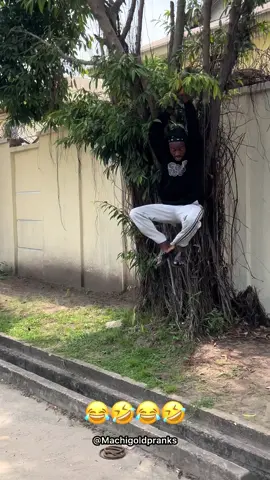 How many times did you watch this ??😂😂🤣🤣🤣😂😂 #reels #pranks #Machigoldpranks #viral