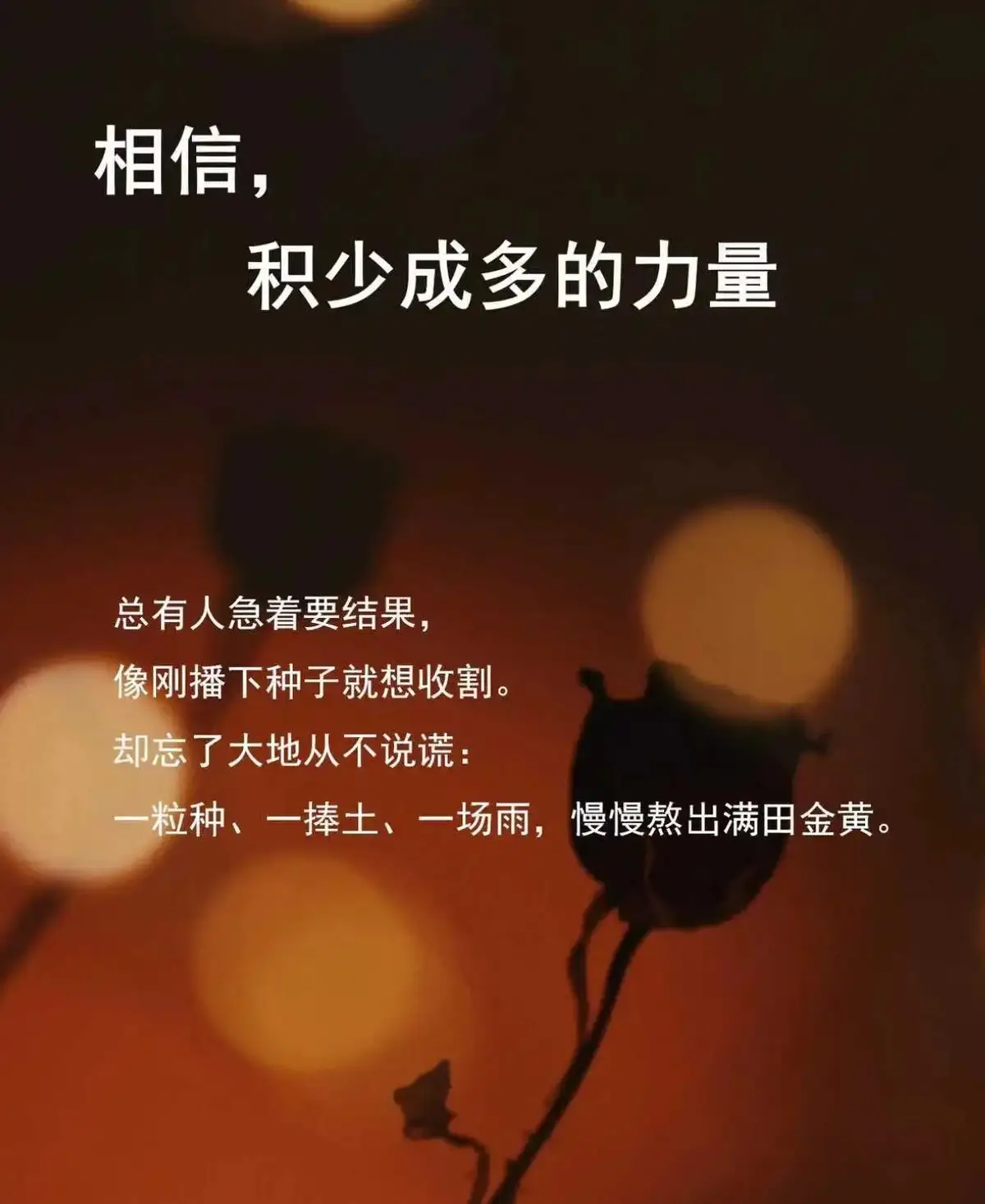 相信，积少成多的力量​ 总有人急着要结果，像刚播下种子就想收割。 却忘了大地从不说谎： 一粒种、一捧土、一场雨，慢慢熬出满田金黄。​ 	 晨起的十分钟阅读，三年后成了脱口而出的底气； 睡前的五十个俯卧撑，五年后成了挺拔的脊梁。 就像煲汤，火急不得，料省不得， 时间到了，滋味自会漫出来。