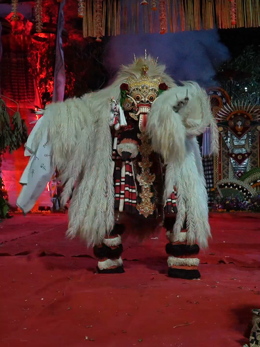 Napak Pertiwi kesungsung cikho cis #seni #budaya #tradisi #bali