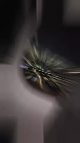 #statusvideos #musicastatus #video #músicasparastatus🎶❤️ #statusvideos 