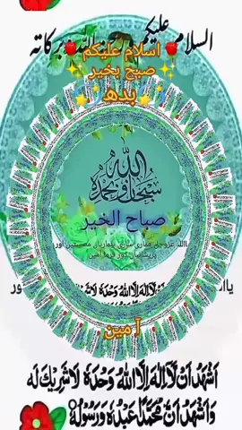 #31 /9/2025#بدھ #صباح_الخير # #islamic_video🤲🕋 # #foryou # #foryourpage # #virlvideotiktok # #muradalli4399 #