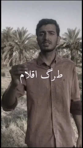 الحچي يتعب #شعر_شعبي #شعراء_وذواقين_الشعر_الشعبي🎸  #شعر