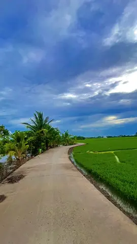 Trả lại em đêm dài 😊😊😊