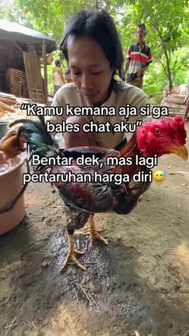 😄😄😄 #mojokerto24jam #4u #mangon #pakhoy #pakhoy 