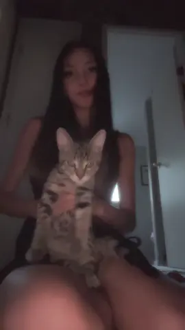 I swear he loves me #kitty #cat #pumpitup #cute #fyp