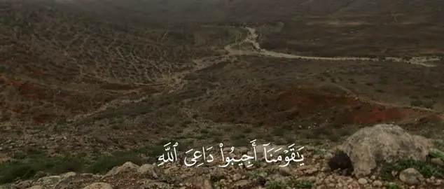 #CapCut #اللهم_صلي_على_نبينا_محمد #قران_كريم #اكتب_شيء_تؤجر_عليه🌿🕊 