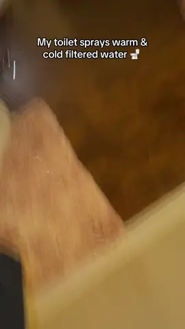 Once you buy a luxe bidet you’ll want one everywhere you go 😭🤞❤️