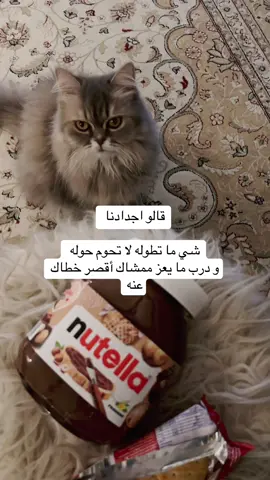 #الشيخه_انجل #fyp 