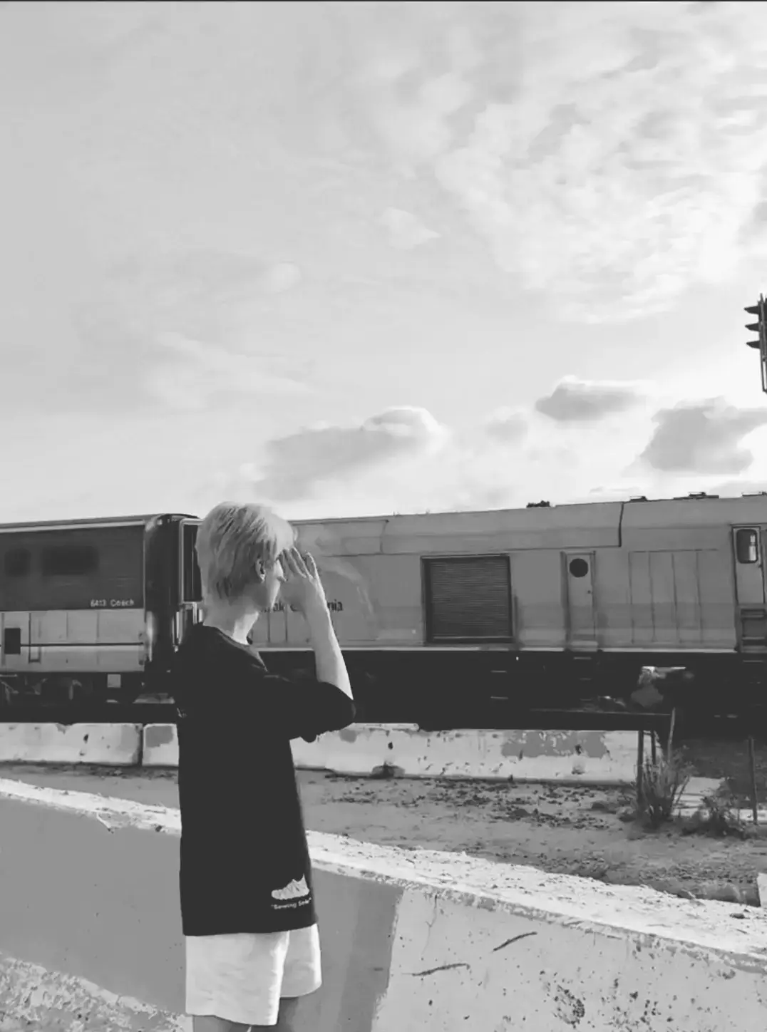 #sza #fyp #allthestars #losangeles 