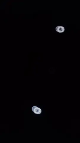 #explore #musica #tik_tok 