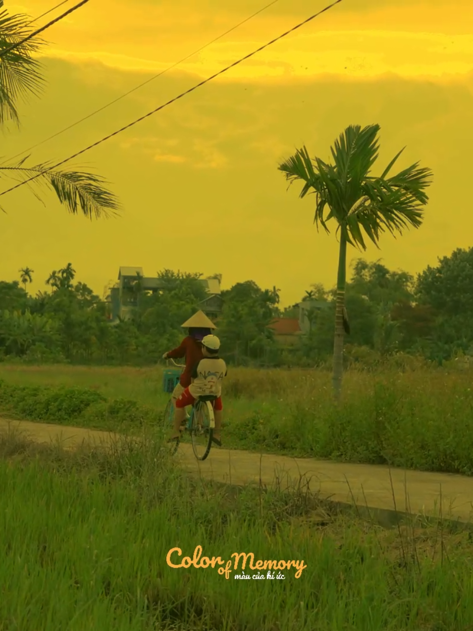 Ngày bé, sau lưng mẹ là nơi bình yên nhất thế gian. Lớn rồi, đi khắp nơi, mới hiểu chỗ trú bình yên nhất...vẫn là sau lưng mẹ như ngày nào.  #colorofmemory #binhyen #Kyuc #peace #quehuong 