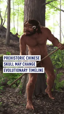 New analysis of an ancient human skull found 35 years ago indicates that the skull belongs to an early branch of a sister lineage to our species. The finding may shake up the understanding of how human evolution unfolded over the past million years or so. CGTN spoke to research leader Prof Chris Stringer, anthropologist and research leader in Human Evolution at the Natural History Museum, London. #China #Science
