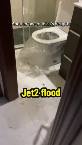 My living room flooded with shizz water😩 #fyp #jet2 