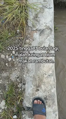 hmmm#fyppppppppppppppppppppppp 