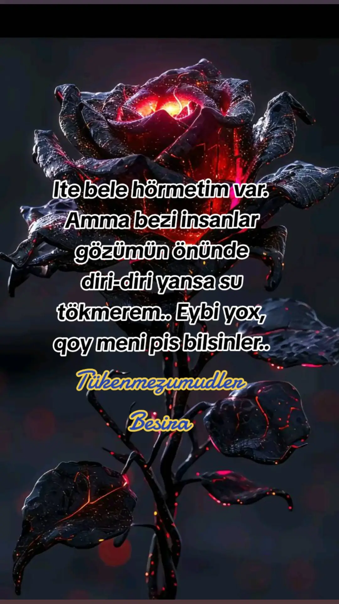 Ite bele hörmetim var. Amma bezi insanlar gözümün önünde diri-diri yansa su tökmerem.. Eybi yox, qoy meni pis bilsinler.. #рек 