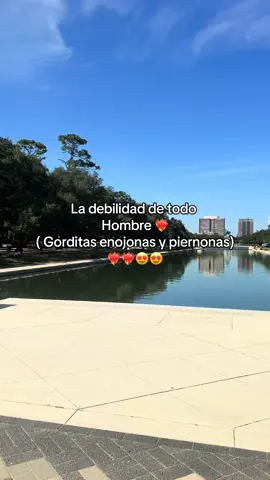 Debilidad 😍#curvy #gordibuena#gordita #girls #midebilidad 