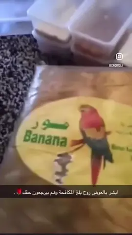 حذاري ياهل التمور #مرزوقي_مانيب_حي_الله #911 