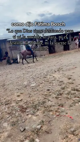 Lo que Dios tiene destinado para ti ni la envidia lo para, ni el destino lo aborta, ni la suerte lo cambia. #fatimabosch #fyp #sueñoscumplidos #fyppppppppppppppppppppppp #MIRIAM✨ 