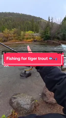 I Fished for an ELUSIVE Fish 🐟🎣 @Muskyjohn_ #fishing #fishingvideos #capcut 