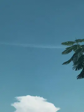 আপনার অভাবেই মরে যাবো! 😌#foryou #najibur #najibur_rahman_tamim #natural #backgroundvideo @TikTokCreators_ID 