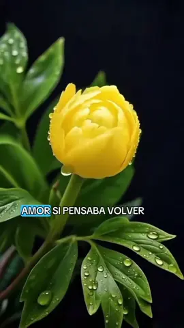 #tiktok #mensajes #reflexion #paratiiiiiiiiiiiiiiiiiiiiiiiiiiiiiii 