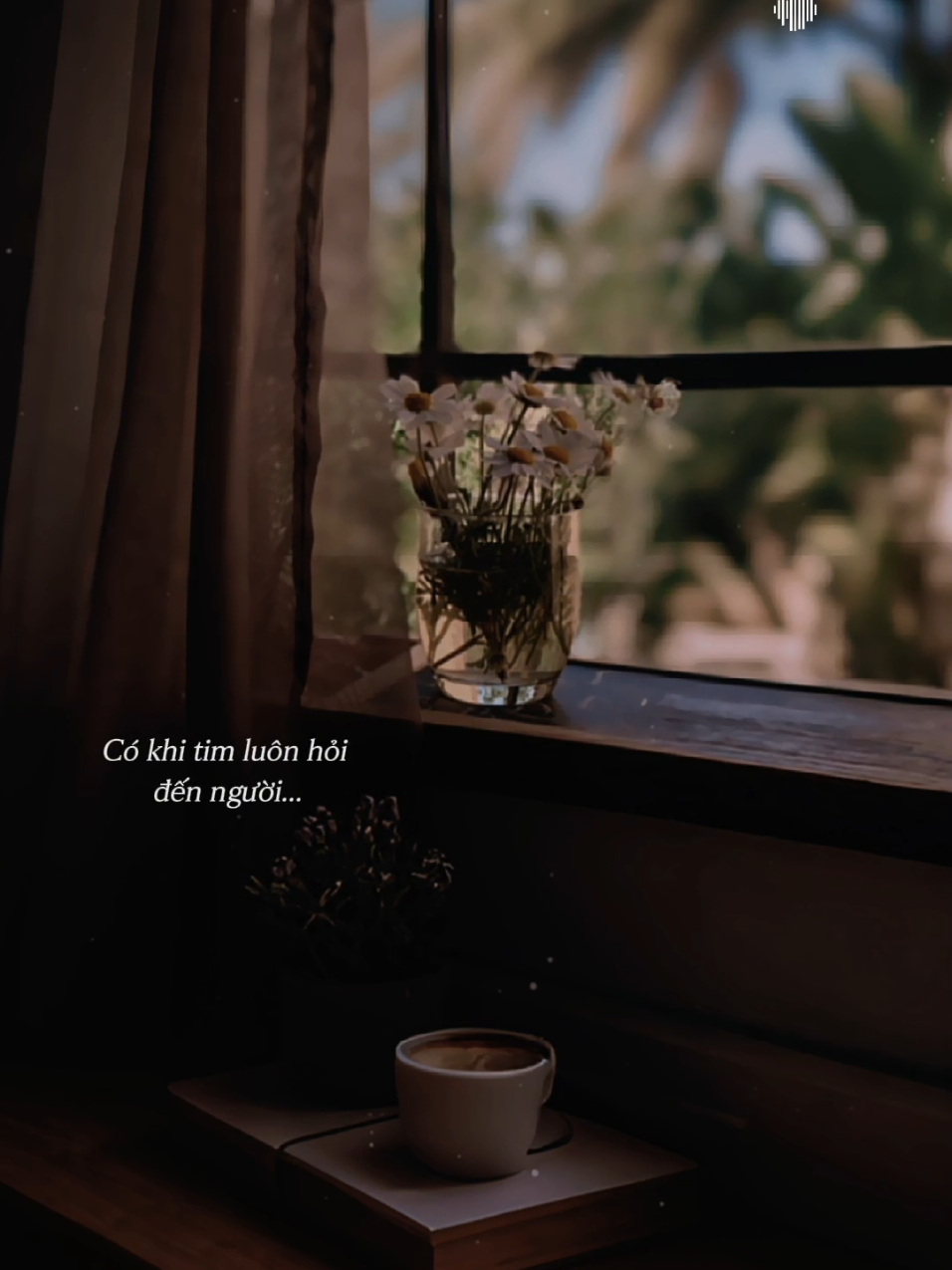 Con Tim Đang Cố Quên _ Phương Phương Thảo  #nhacbuon #nhactamtrang  #nhachoaloiviet  #nhactamtrang  #nhachaymoingay 