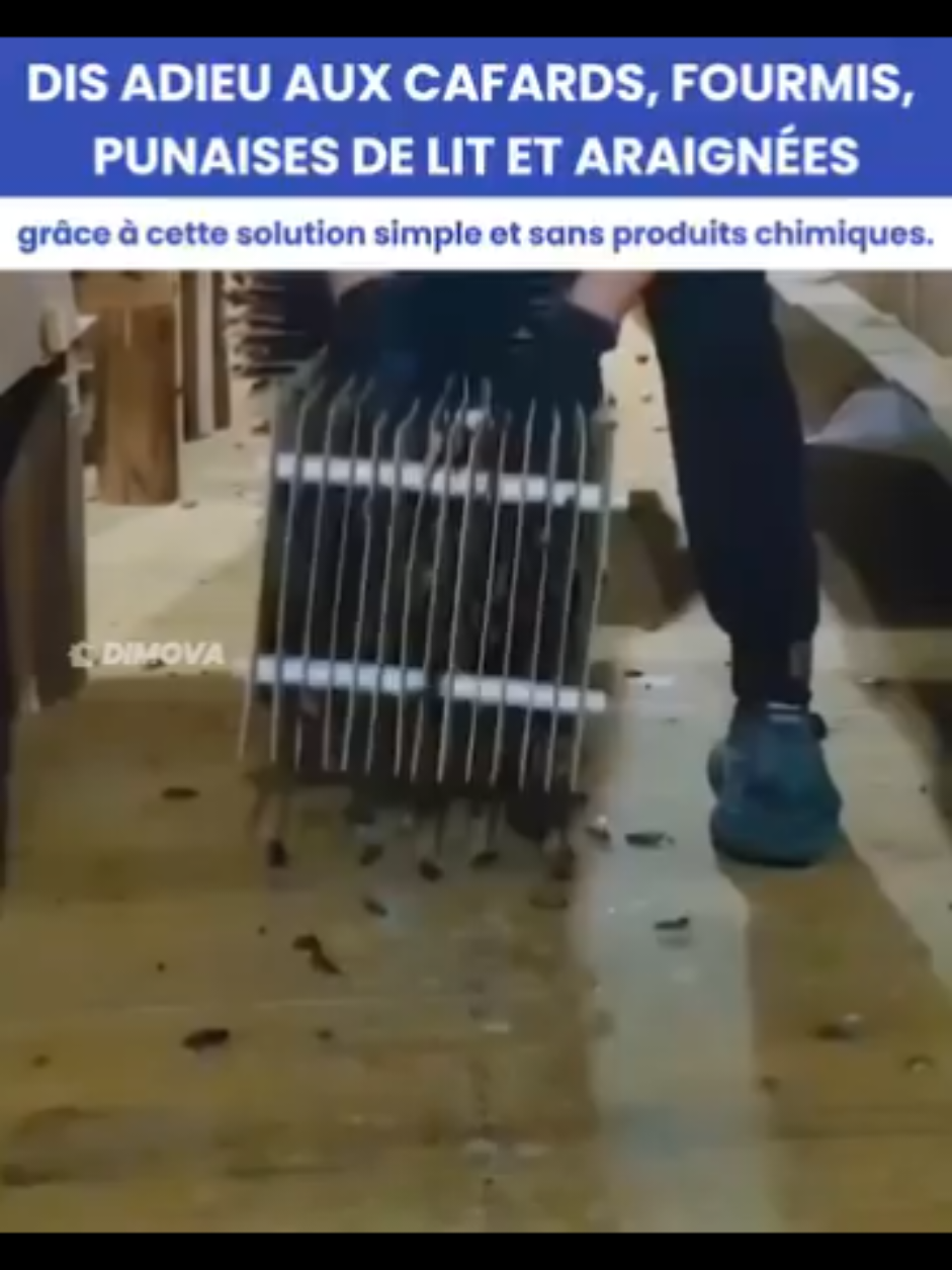 Vous ne dormez plus sereinement à cause des punaises de lit ? Chaque nuit devient un combat… et les traitements classiques ne font que repousser le problème. Le PestLab™ 2025 est une solution électronique nouvelle génération, conçue pour repousser durablement les nuisibles, sans produits chimiques ni interventions coûteuses. ✔️ Technologie à ultrasons éprouvée pour chasser punaises de lit, cafards, moustiques, rongeurs et plus ✔️ Sans danger pour les enfants et les animaux ✔️ Discret, sans odeur, sans bruit ✔️ Déjà approuvé par plus de 15 000 foyers en France ✔️ Installation simple : branchez-le et laissez-le agir 24h/24 Conçu avec soin pour une protection continue et invisible dans chaque pièce.